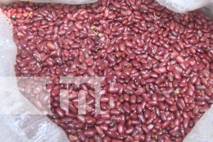 Foto: MIFIC registra disminución en 8 productos /TN8 Foto: MIFIC registra disminución en 8 productos /TN8