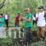 URACCAN lidera jornada de reforestación en arboretum Yuluh, en Siuna Foto: Ayuda ambiental en arboretum de Siuna / TN8