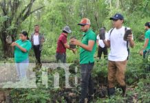 URACCAN lidera jornada de reforestación en arboretum Yuluh, en Siuna Foto: Ayuda ambiental en arboretum de Siuna / TN8