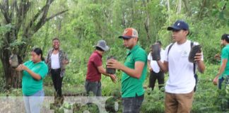 Foto: Ayuda ambiental en arboretum de Siuna / TN8