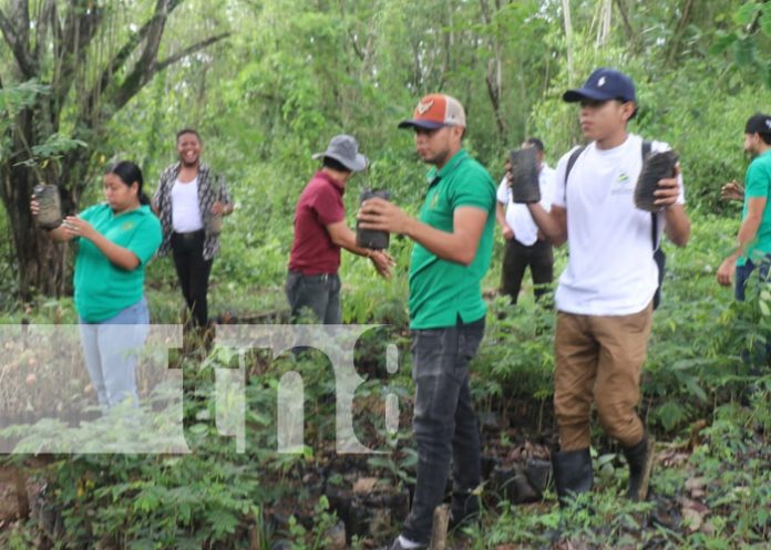 Foto: Ayuda ambiental en arboretum de Siuna / TN8 Foto: Ayuda ambiental en arboretum de Siuna / TN8