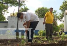 Foto: Escuelas Verdes en Managua con el MINED Nicaragua / TN8