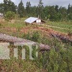 Tragedia en Waspam: Niña muere aplastada por tronco que cortaba un pastor Foto: Tragedia con una niña en Waspam / TN8