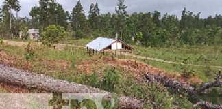 Foto: Tragedia con una niña en Waspam / TN8