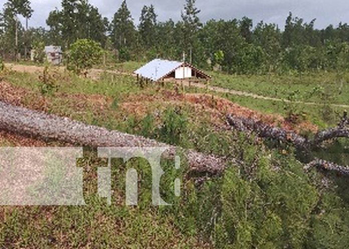Foto: Tragedia con una niña en Waspam / TN8 Foto: Tragedia con una niña en Waspam / TN8
