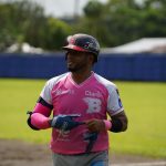 Bóer divide en el Pomares