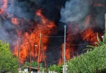 «Fuera de control»: incendio forestal en Atenas obliga a evacuaciones masivas Foto: Incendio forestal fuera de control en Atenas /Cortesía