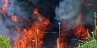 Foto: Incendio forestal fuera de control en Atenas /Cortesía