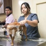 Ellos también merecen atención: inauguran moderna clínica veterinaria en Camoapa Foto: Camoapa abre clínica veterinaria de primer nivel /TN8