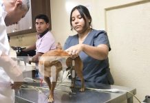 Ellos también merecen atención: inauguran moderna clínica veterinaria en Camoapa Foto: Camoapa abre clínica veterinaria de primer nivel /TN8