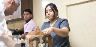 Foto: Camoapa abre clínica veterinaria de primer nivel /TN8