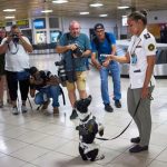 Foto: Cuba da un paso firme contra el narcotráfico /cortesía