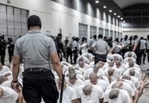 Migrante denuncia torturas en Cecot tras deportación de Trump Foto: Migrante expone abusos del Cecot en pleno juicio/ Cortesía