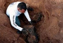 Foto: terror en Jalisco, México/Cortesía