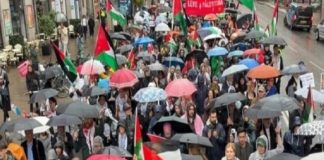 Foto: Suecia alza la voz /cortesía