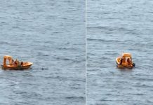 Foto: padre salta desde crucero Disney Dream por su hija/Cortesía
