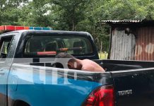 Intento de femicidio sacude Teustepe: agresor atacó con machete a su mujer Foto: Hombre intento matar a su mujer en Teustepe, Boaco/TN8