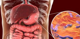 Foto: Prevención de H. pylori evitaría millones de muertes/Cortesía