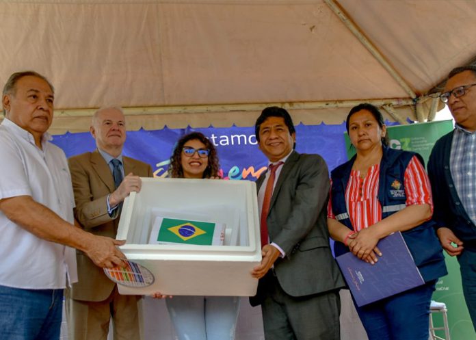 Foto: Brasil ayuda a Bolivia /cortesía Foto: Brasil ayuda a Bolivia /cortesía