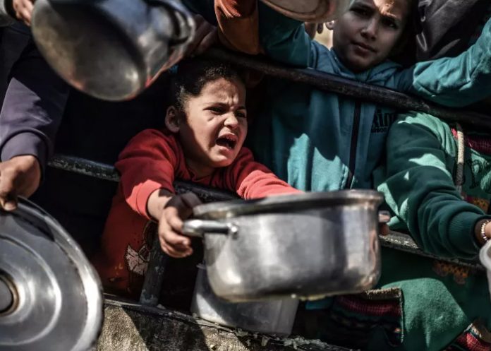 Foto: Gaza necesita ayuda urgente /cortesía Foto: Gaza necesita ayuda urgente /cortesía