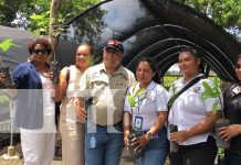 Relanzan vivero municipal «Awas Tawanka» por una Costa Caribe más verde Foto: Nuevo impulso ecológico en la Costa Caribe /TN8