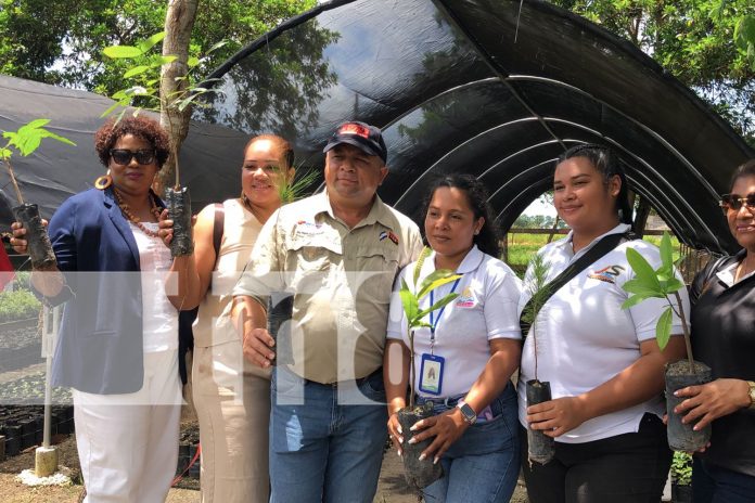 Foto: Nuevo impulso ecológico en la Costa Caribe /TN8