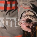 Foto: ¡Cuidado con las "venenosas" escondidas! Serpiente aparece en motor de vehículo en Estelí/TN8