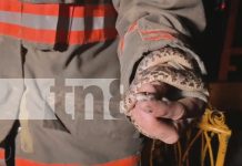 ¡Cuidado con las «venenosas» escondidas! Serpiente aparece en motor de vehículo en Estelí Foto: ¡Cuidado con las "venenosas" escondidas! Serpiente aparece en motor de vehículo en Estelí/TN8