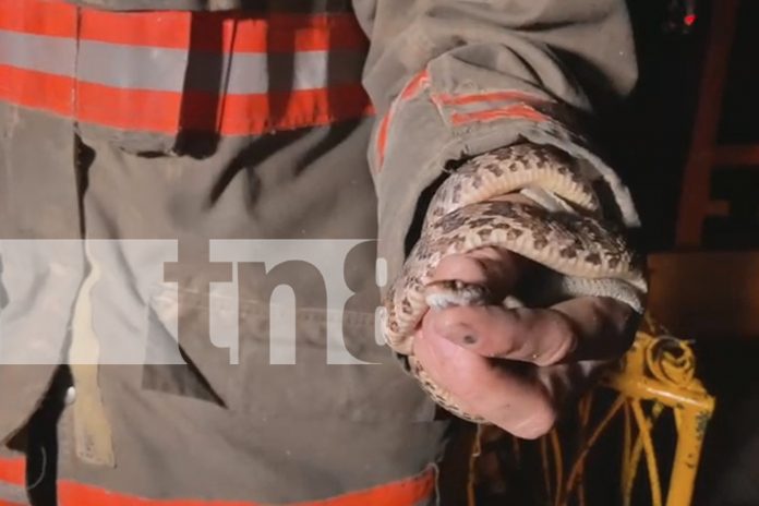 Foto: ¡Cuidado con las 