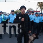 Golpe al crimen en Masaya: Policía captura a 13 implicados en delitos graves Foto: Masaya avanza con acciones firmes contra el crimen/TN8