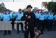 Foto: Masaya avanza con acciones firmes contra el crimen/TN8