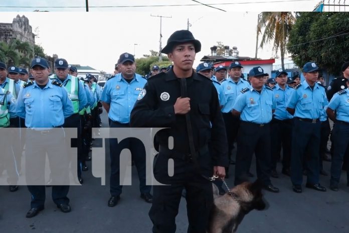 Foto:  Masaya avanza con acciones firmes contra el crimen/TN8 Foto: Masaya avanza con acciones firmes contra el crimen/TN8