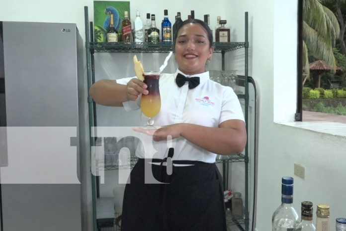 Foto: Pasantías técnicas en Ometepe impulsan el arte culinario nacional/TN8 Foto: Pasantías técnicas en Ometepe impulsan el arte culinario nacional/TN8