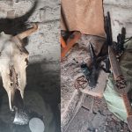 Video revela altar satánico en trinchera ucraniana abandonada Foto: Altar oculto desata controversia en zona de guerra/CortesíaFoto: Altar oculto desata controversia en zona de guerra/Cortesía