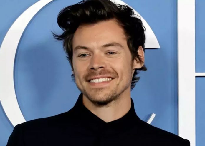 Foto: Harry Styles y su nuevo emprendimiento /cortesía