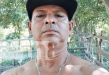 Como si tratara de Caín y Abel, hermano casi termina con la vida de su hermana en Mateare Foto: Como si tratara de Caín y Abel, hermano casi termina con la vida de su hermana en Mateare/TN8