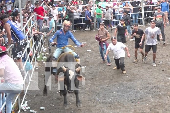 1 Foto: Corridas de toros en Las Sierritas: tradición y fervor en honor a Santo Domingo/TN8