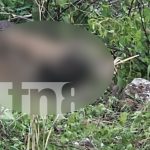 Macabro hallazgo en Tipitapa: Encuentran osamenta humana en Cerro La Bujona Foto: Hallan osamenta en cerro de Tipitapa/TN8