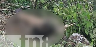 Foto: Hallan osamenta en cerro de Tipitapa/TN8
