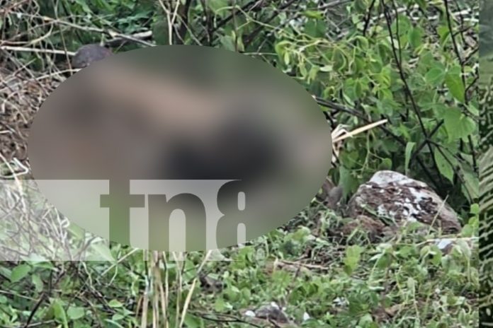 Foto: Hallan osamenta en cerro de Tipitapa/TN8 Foto: Hallan osamenta en cerro de Tipitapa/TN8