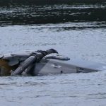 Helicóptero militar se estrella en Alemania, buscan al piloto desaparecido Foto: Helicóptero militar se estrella en Alemania, buscan al piloto desaparecido /Cortesía