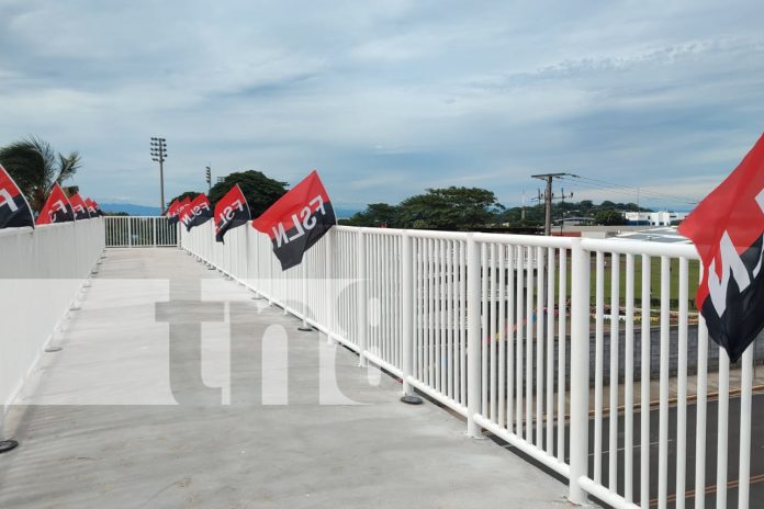 1 Foto: Modernización deportiva: inauguran moderno puente peatonal en el IND / TN8