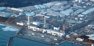 Foto: Tsunami golpea Japón y evacúan centrales en Fukushima/Cortesía