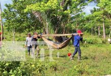 Foto: Crimen brutal en el Caribe Sur: mató a su cuñado de 10 machetazos /TN8