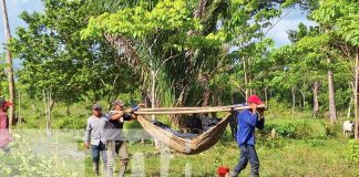 Foto: Crimen brutal en el Caribe Sur: mató a su cuñado de 10 machetazos /TN8
