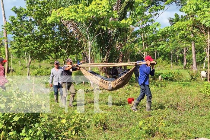Foto: Crimen brutal en el Caribe Sur: mató a su cuñado de 10 machetazos /TN8 Foto: Crimen brutal en el Caribe Sur: mató a su cuñado de 10 machetazos /TN8