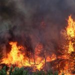 Fuego sin control: mil hectáreas consumidas por incendio forestal en Grecia Foto: Hectáreas quemadas en Grecia en un incendio forestal /Cortesía