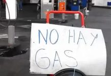 Foto: Crisis en Argentina /cortesía