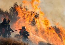 Foto: Fuego imparable en Grecia /cortesía