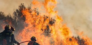 Foto: Fuego imparable en Grecia /cortesía